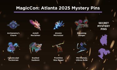 Mystery Pins
