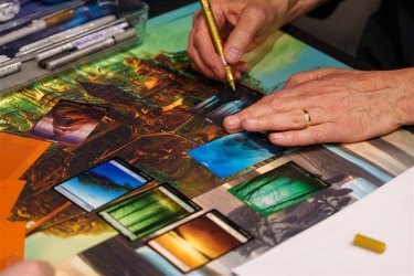 Mc Vegas Featured Artists